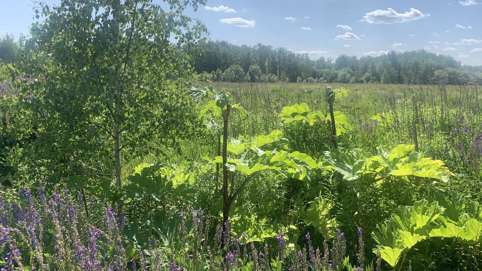 Ступино, медицина, Ступинская ОКБ