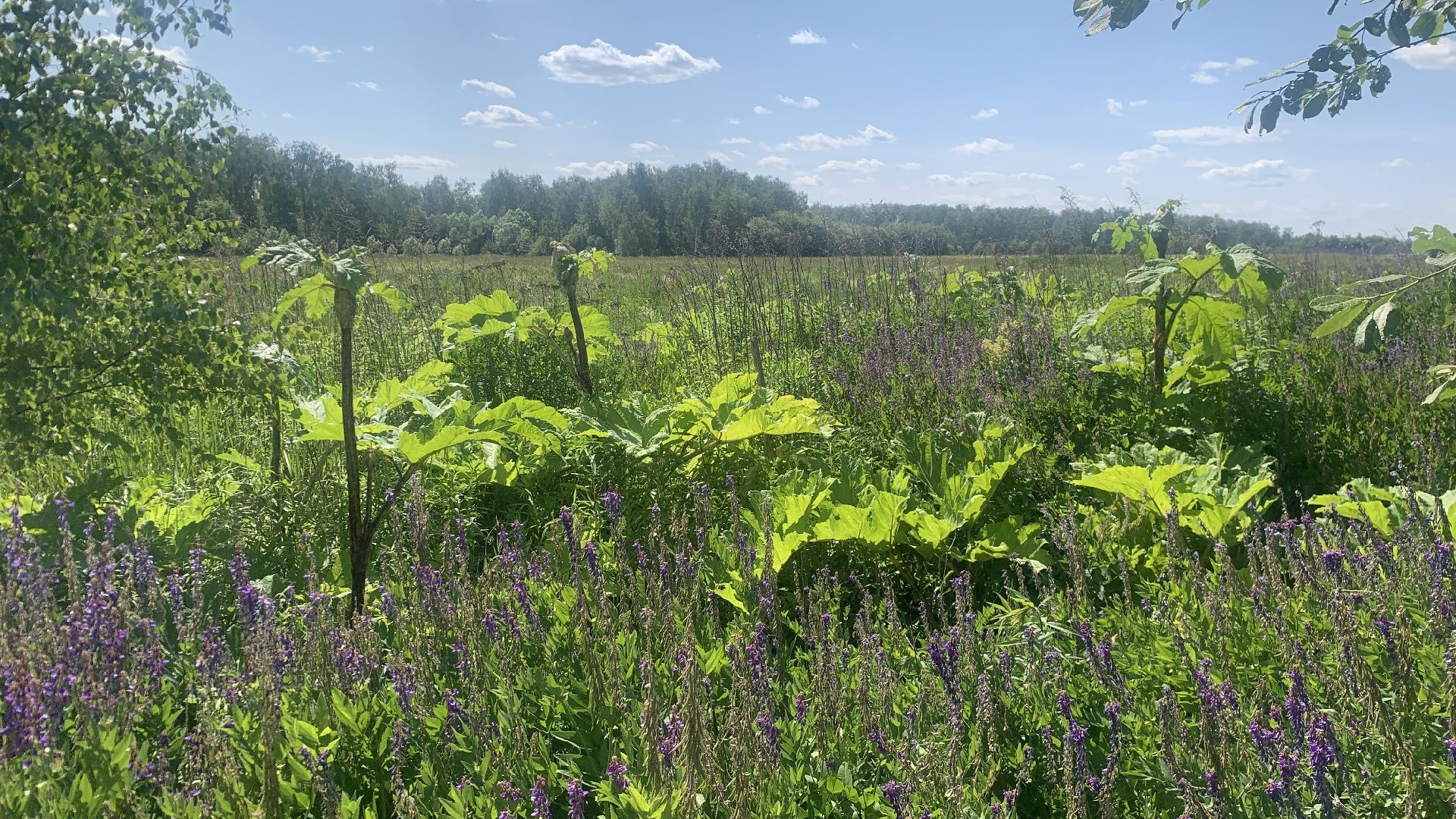 Ступино, медицина, Ступинская ОКБ