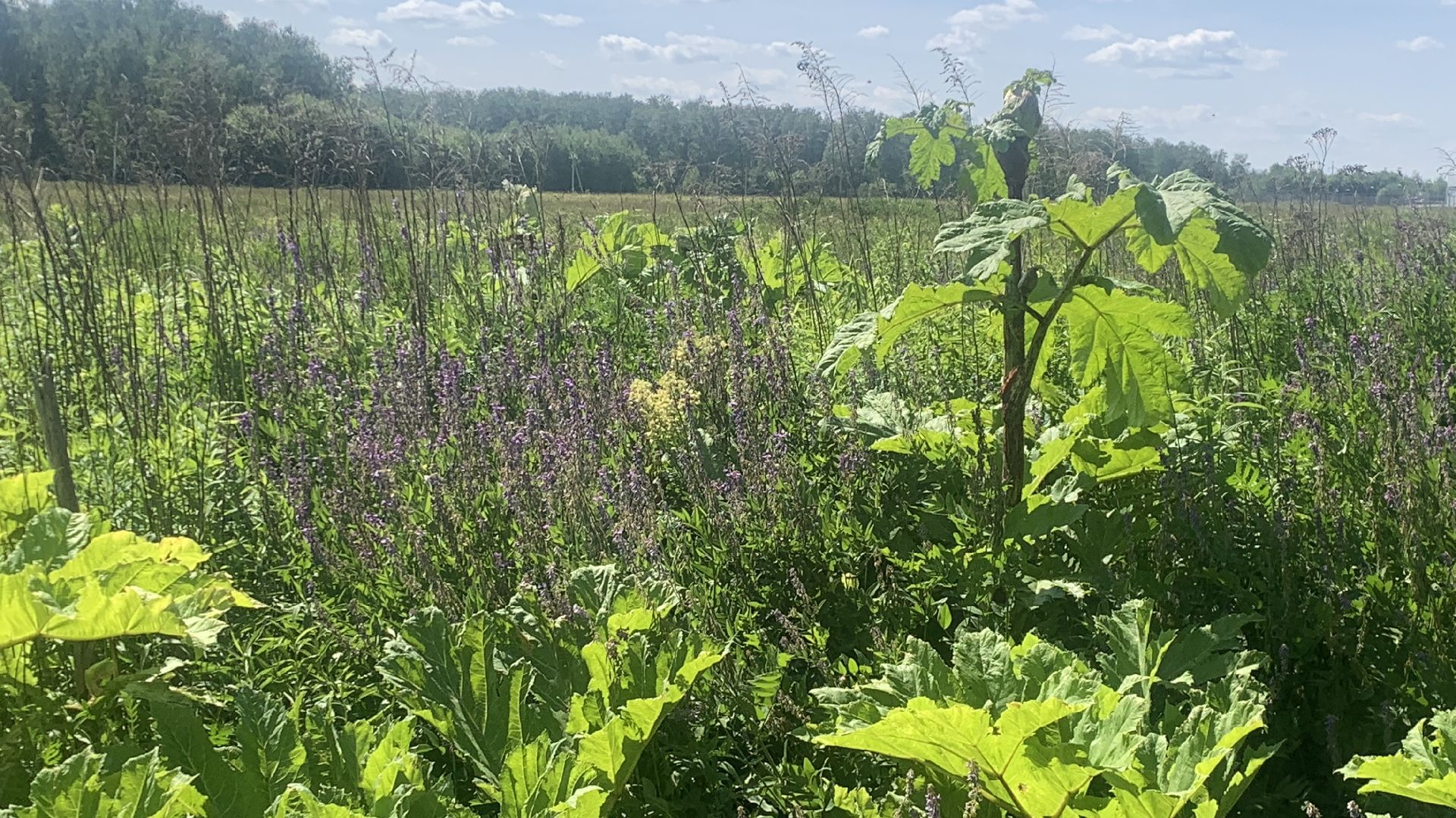 Ступино, медицина, Ступинская ОКБ