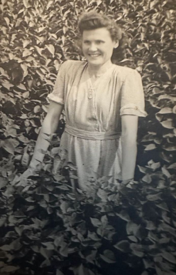 Можайск, Можайский городской округ, Подмосковье, Великая Отечественная война, День памяти и скорби, ветеран, война, воспоминания