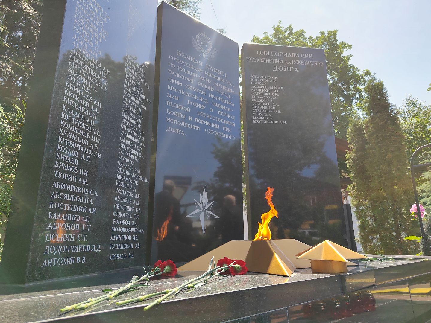 Пушкино, день памяти и скорби, Полиция, МВД России,