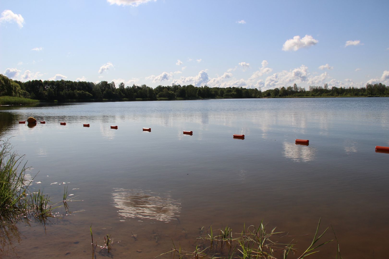 #Рошаль#пляж#озеро#Юбилейное#лето