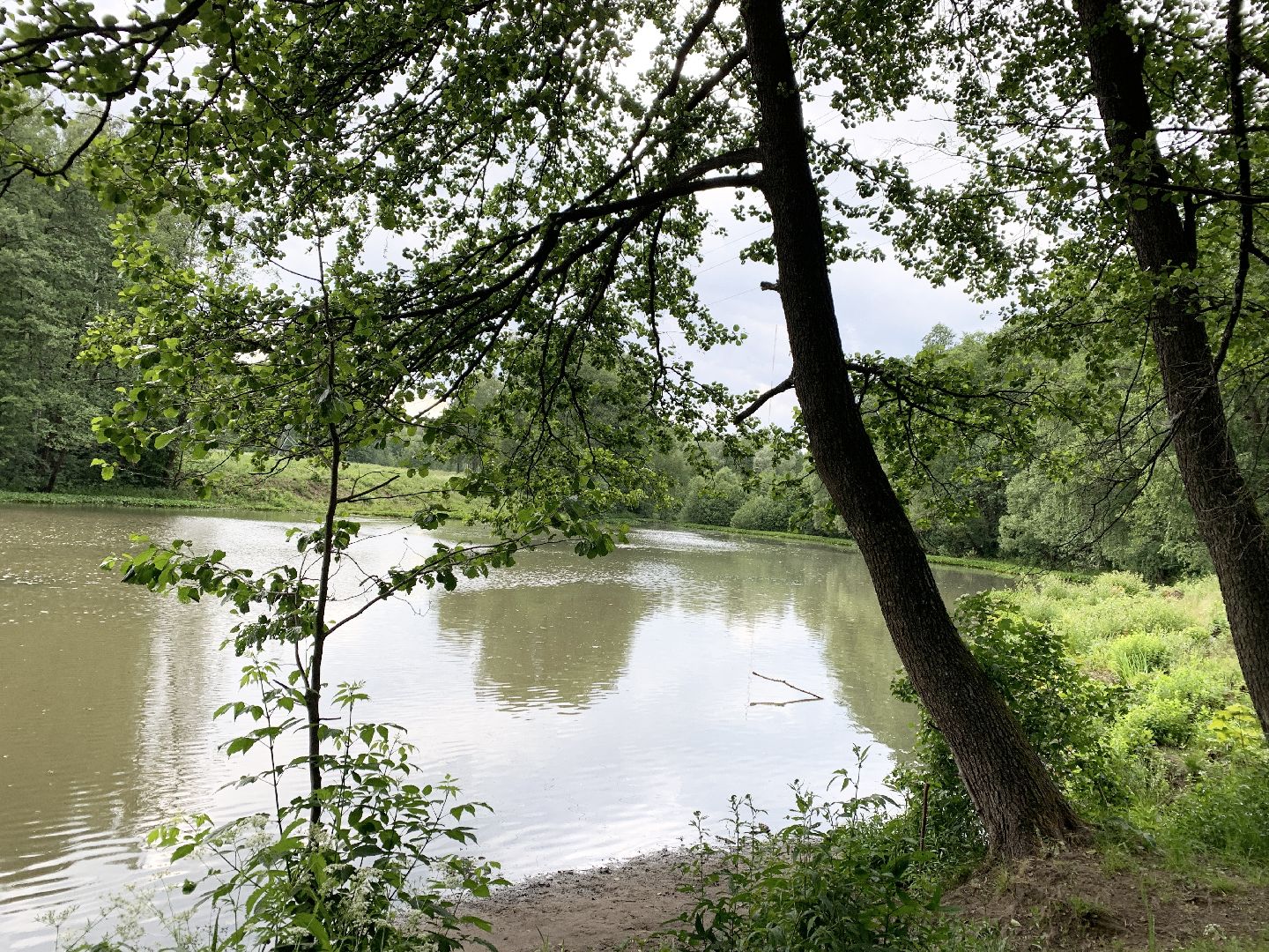 Балашиха, Подмосковье, благоустройство, экология, 100 прудов и озёр, пруды, водоёмы, экология