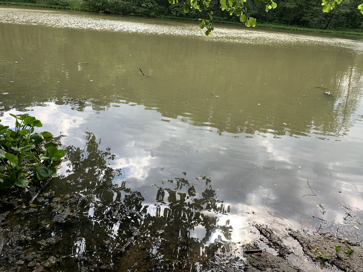 Балашиха, Подмосковье, благоустройство, экология, 100 прудов и озёр, пруды, водоёмы, экология
