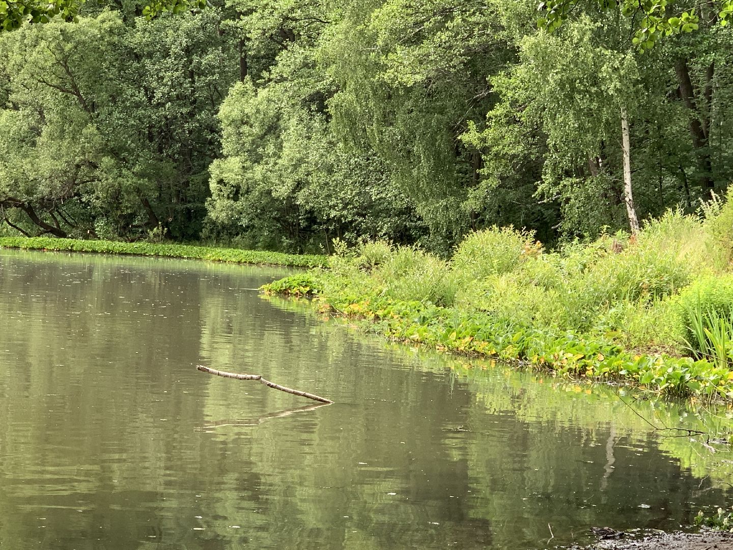 Балашиха, Подмосковье, благоустройство, экология, 100 прудов и озёр, пруды, водоёмы, экология