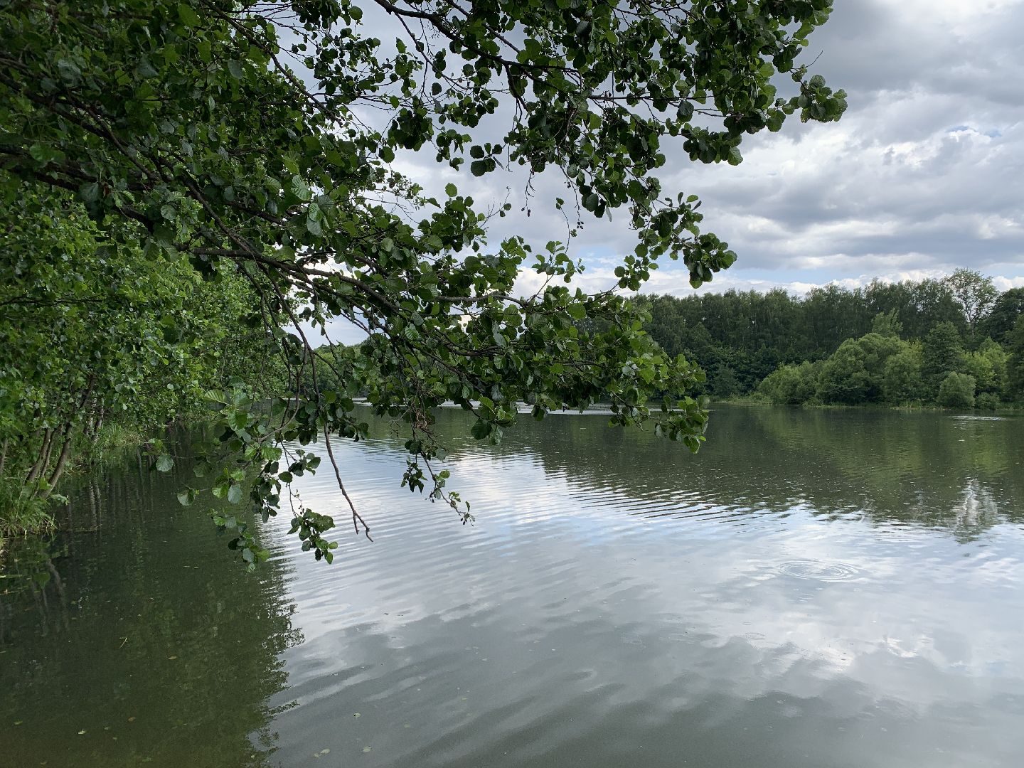 Балашиха, Подмосковье, благоустройство, экология, 100 прудов и озёр, пруды, водоёмы, экология