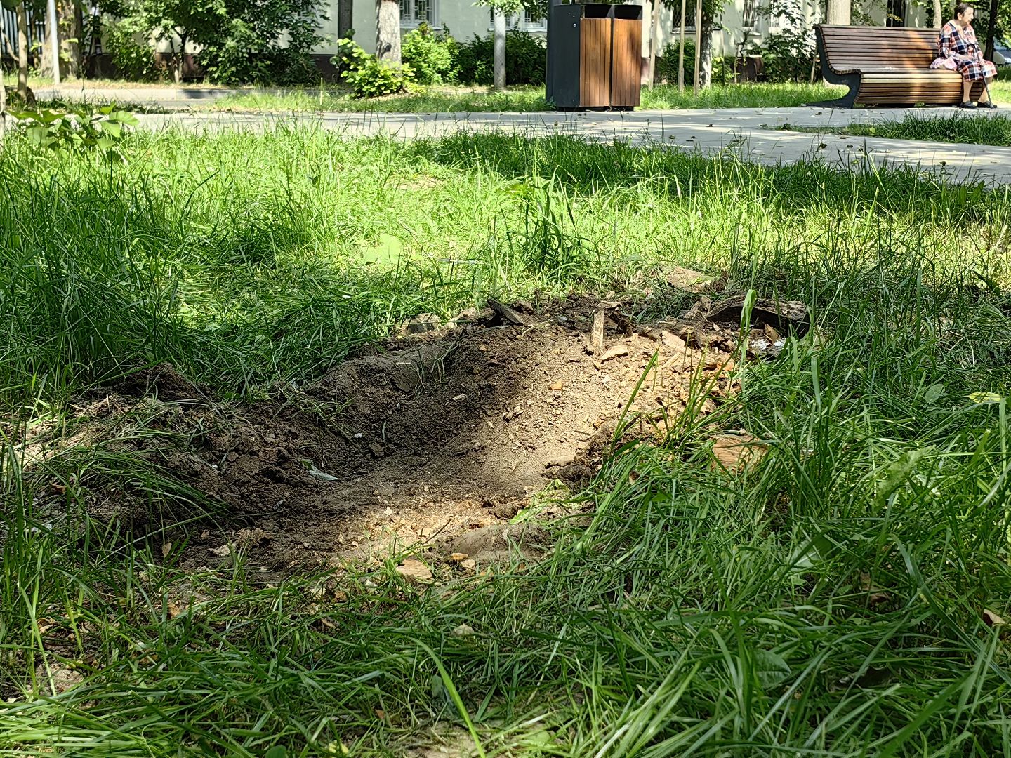 Пень, спил, деревья, благоустройство