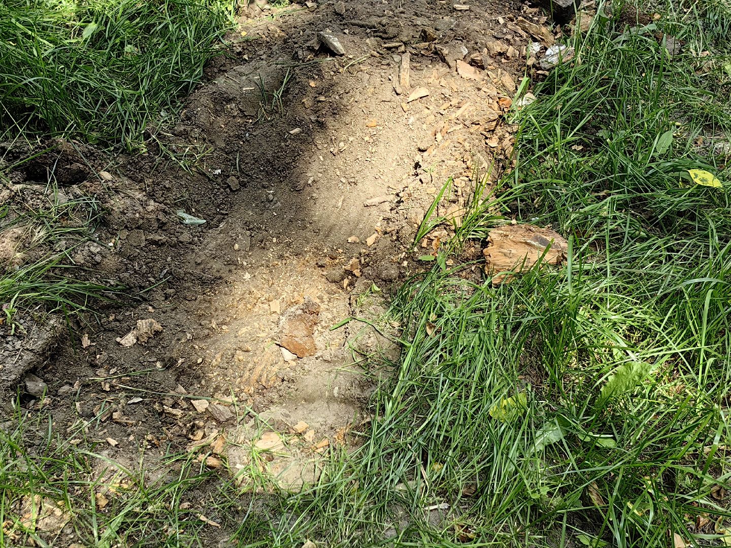 Пень, спил, деревья, благоустройство