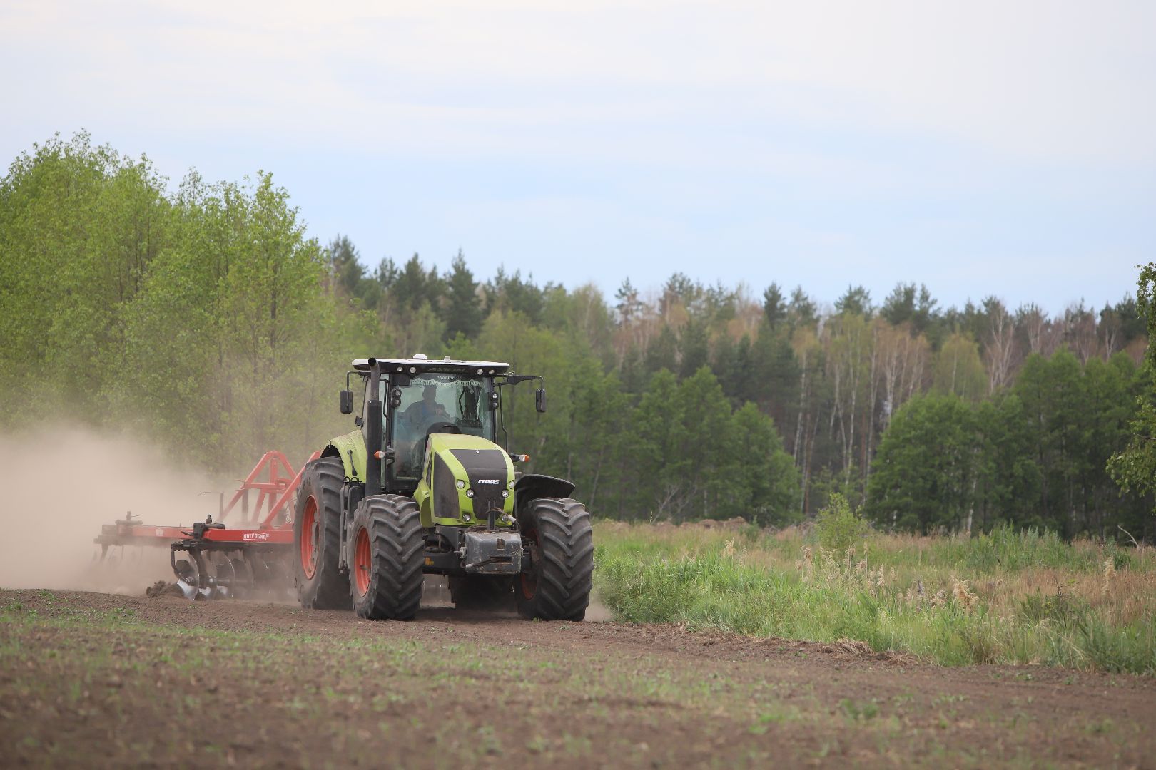 #БольшаяШатура#озимые#сельскоехозяйство