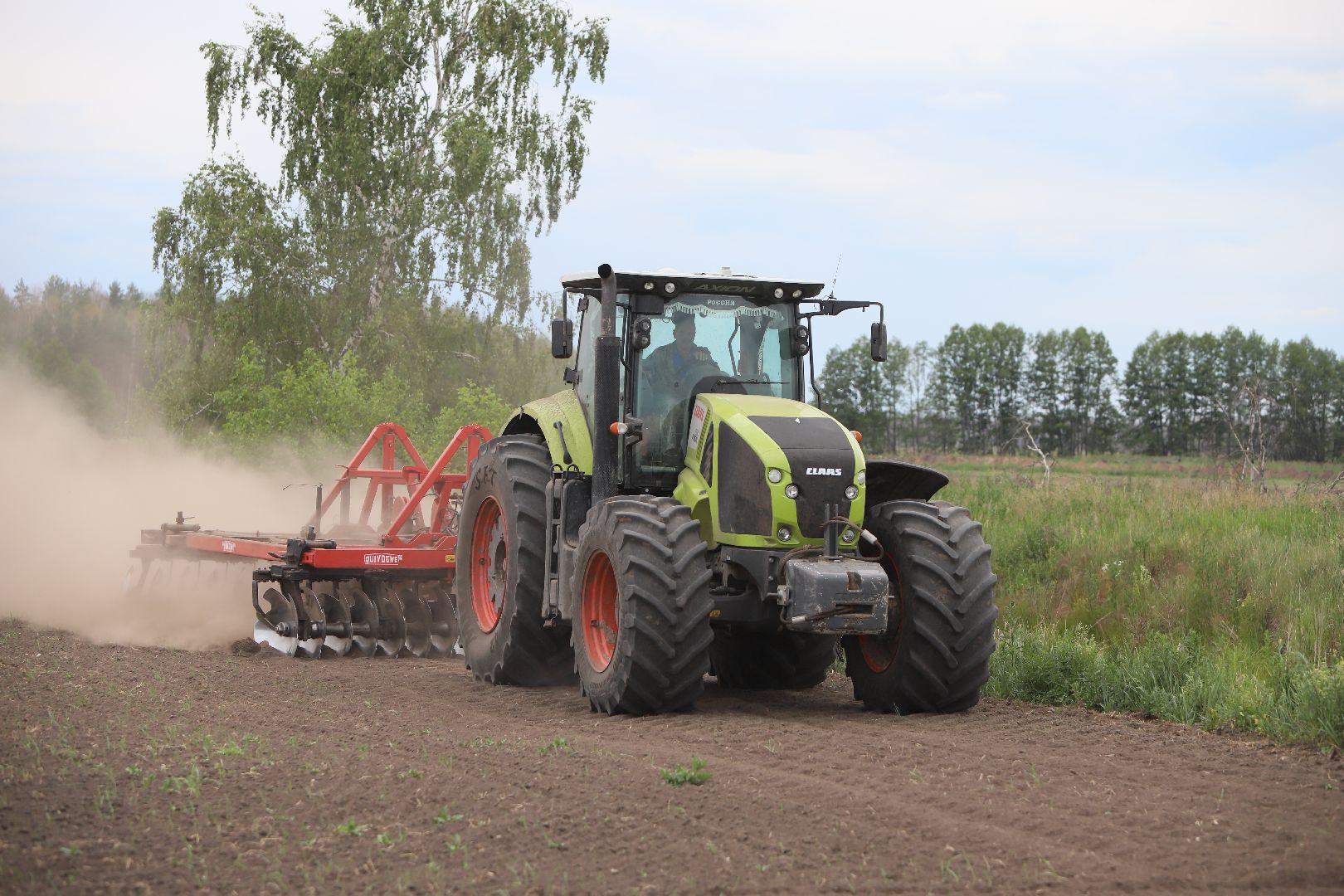 #БольшаяШатура#озимые#сельскоехозяйство