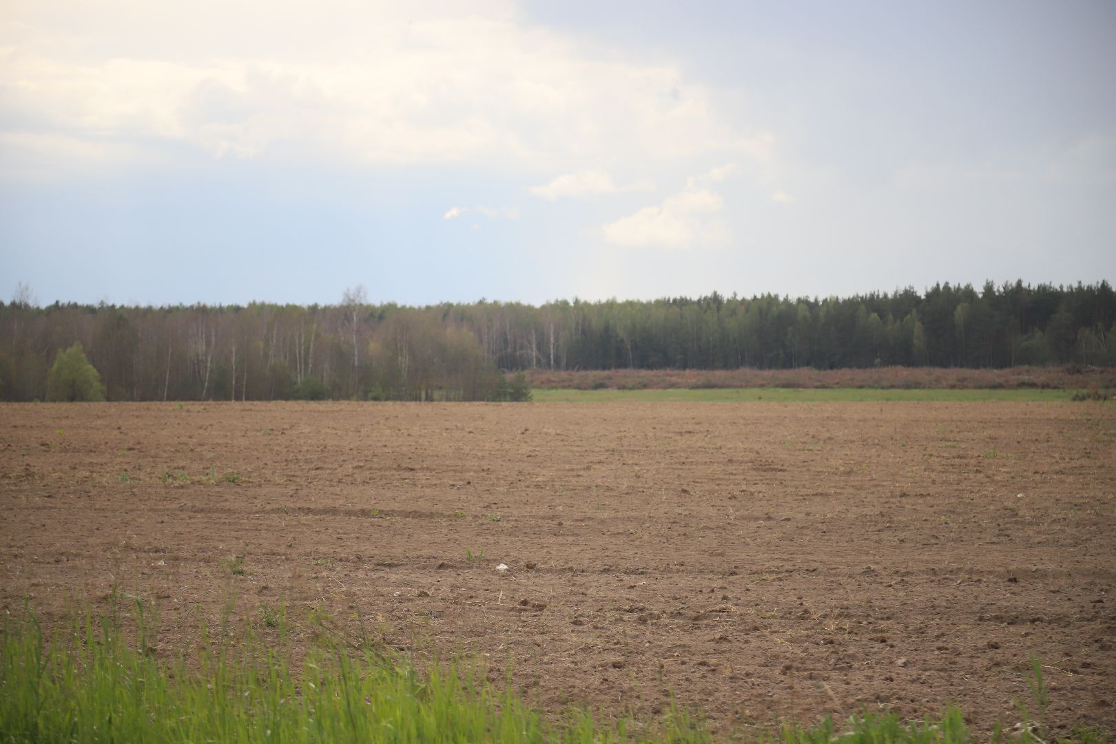 #БольшаяШатура#озимые#сельскоехозяйство