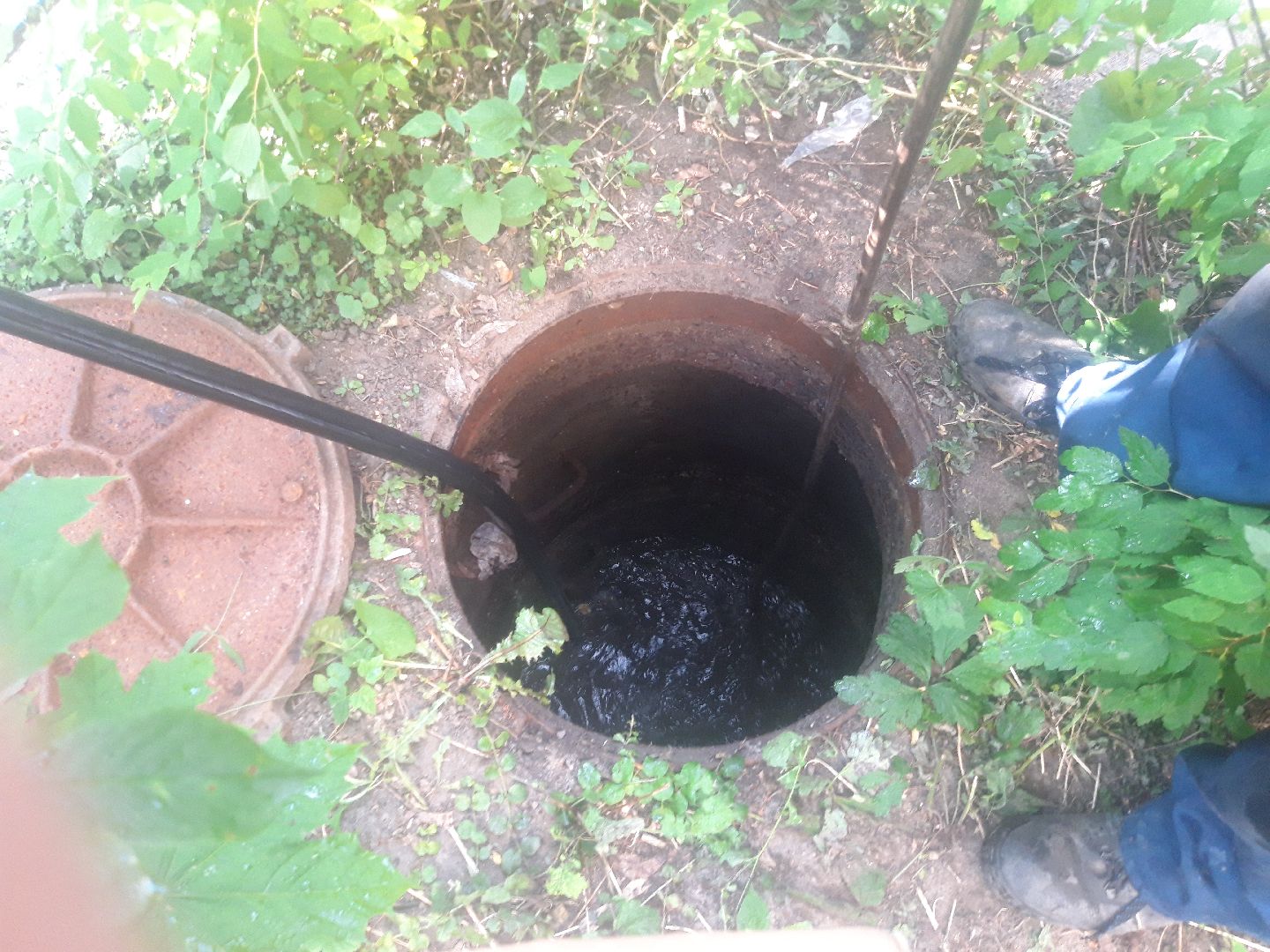 двор, доброе дело,