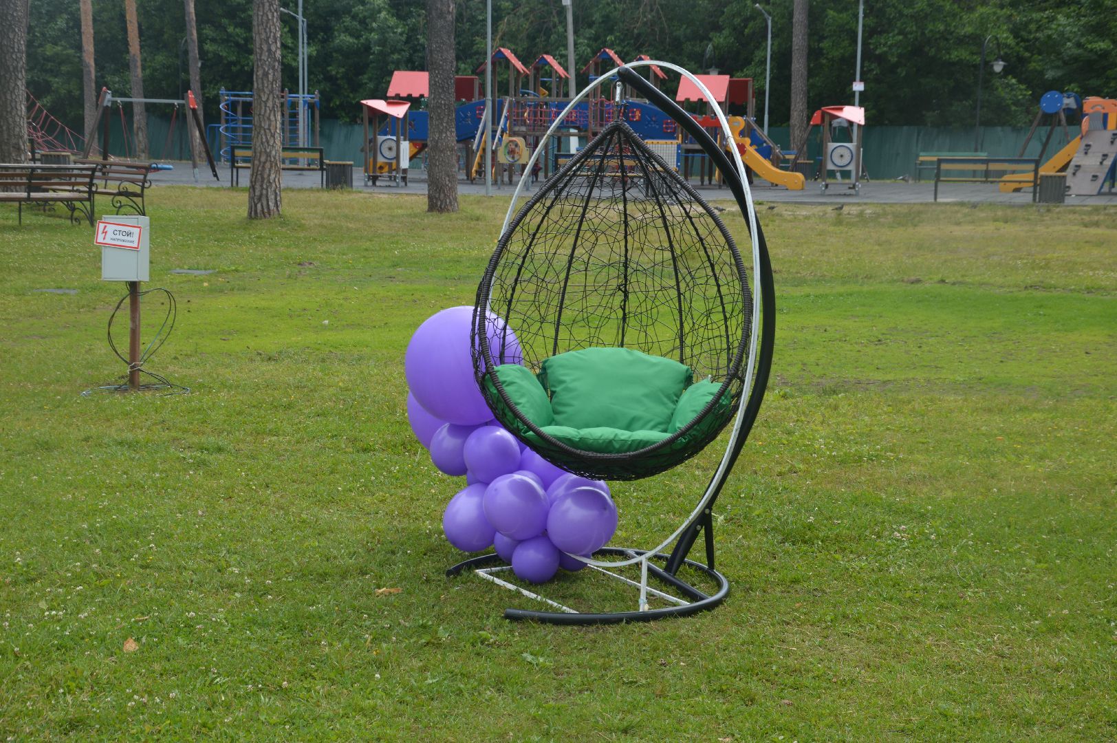 #Шатура, #срочно, #эксклюзив, #бал_выпускников,