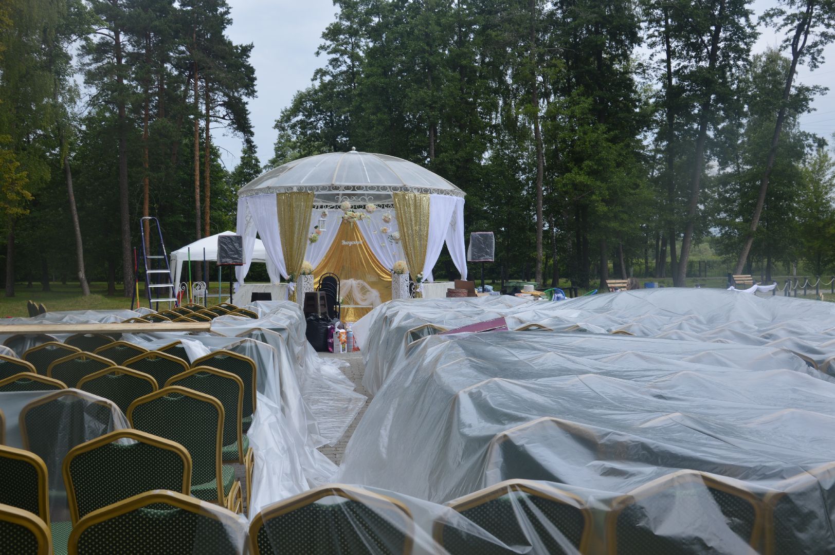 #Шатура, #срочно, #эксклюзив, #бал_выпускников,