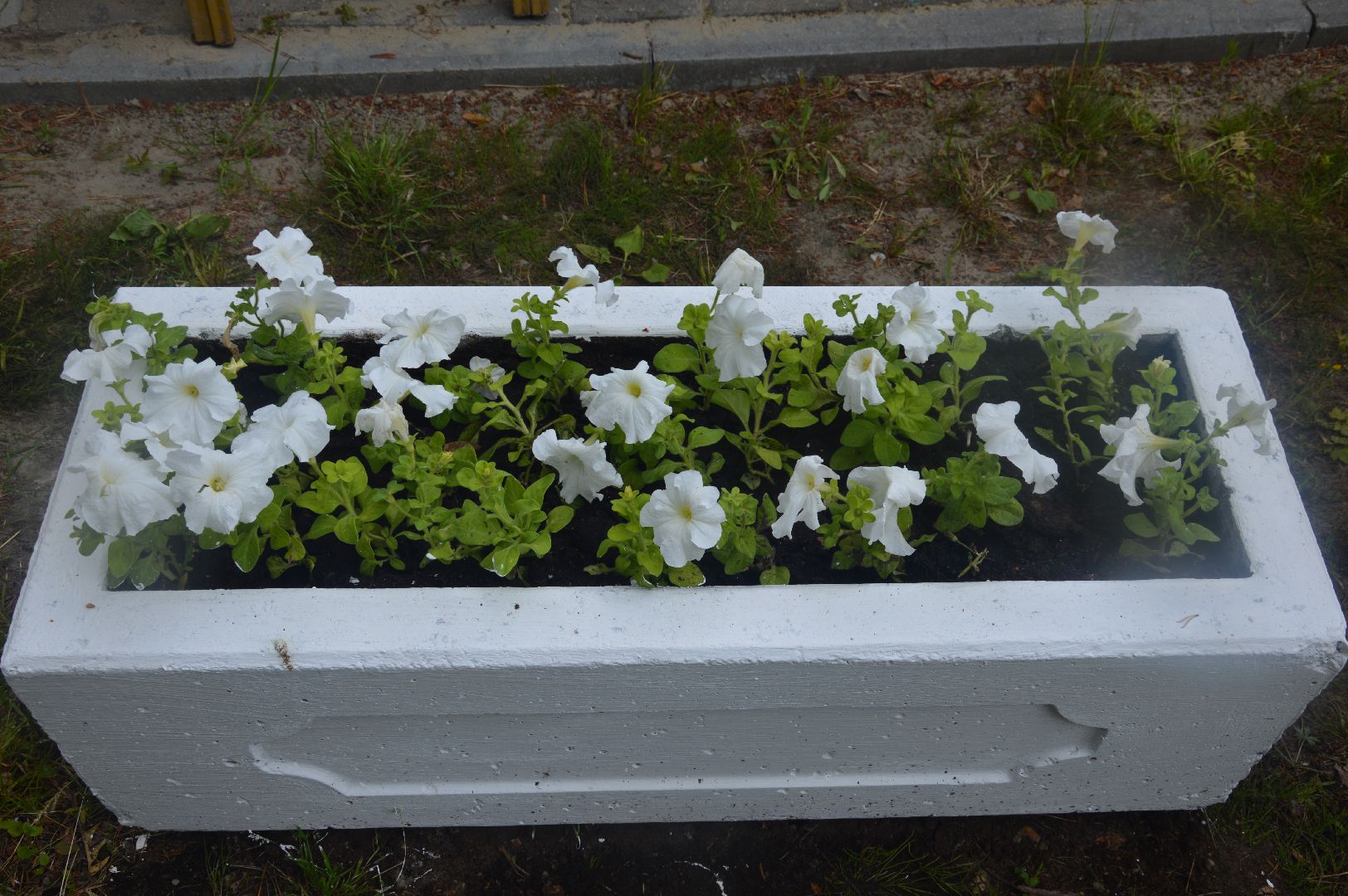 #Шатура, #срочно, #эксклюзив, #бал_выпускников,