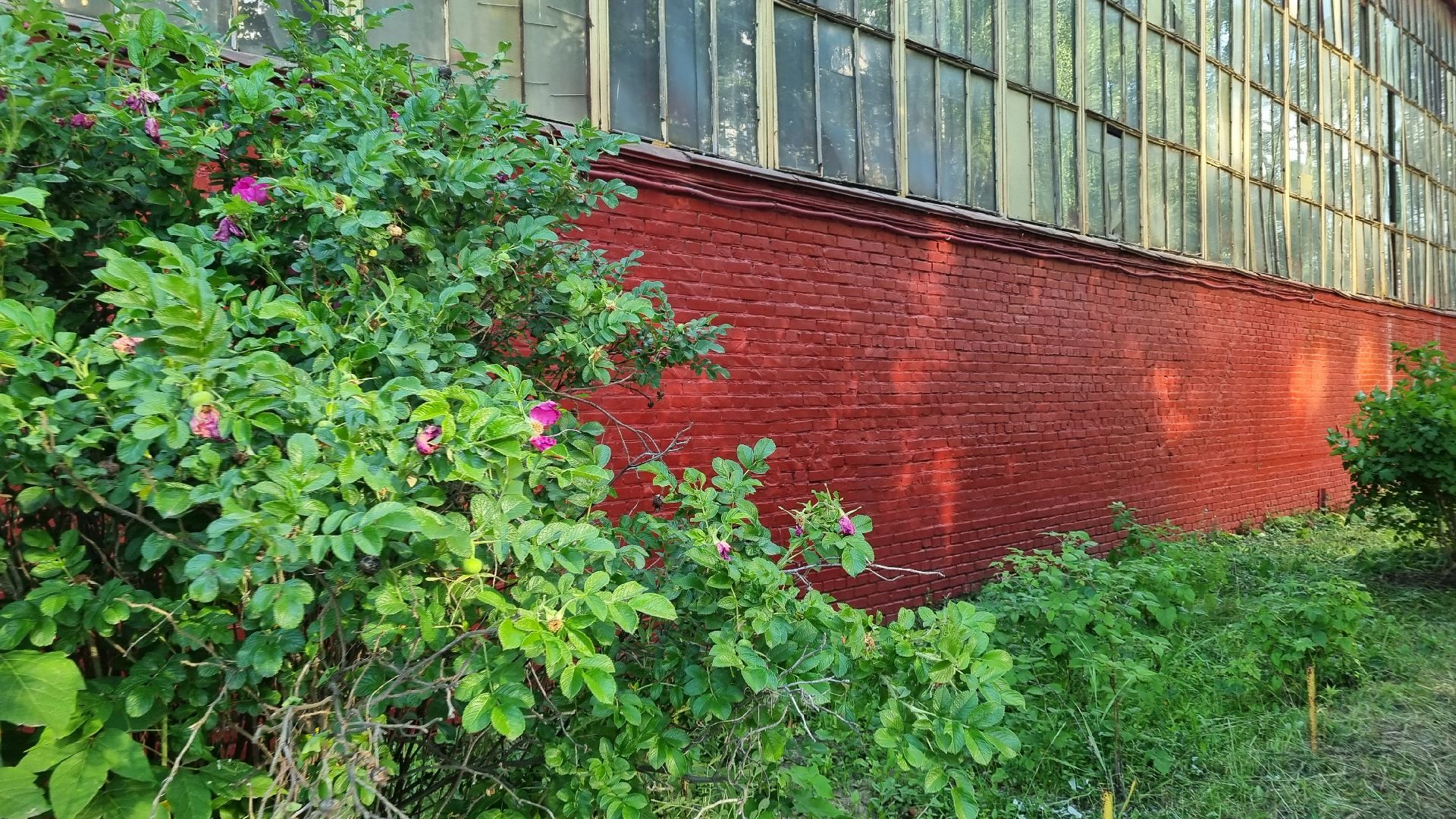 Подмосковье, Ивантеевка, Горрдской округ Пушкинский