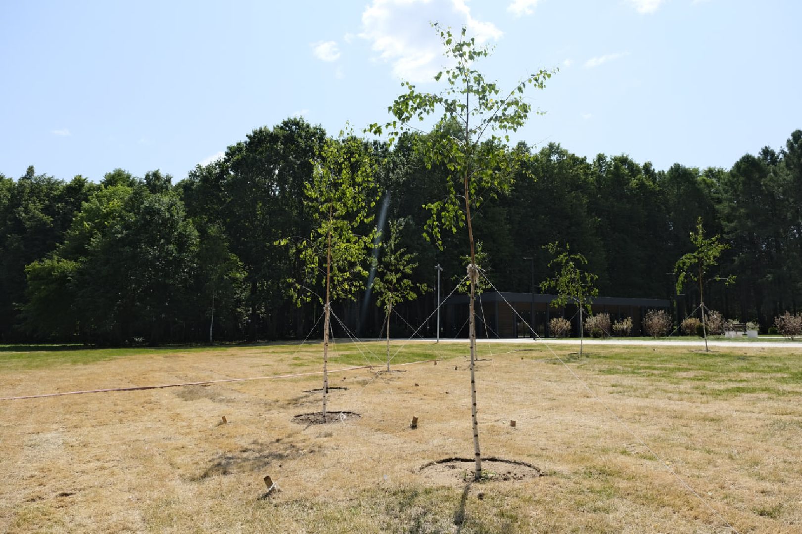 Пущино, благоустройство