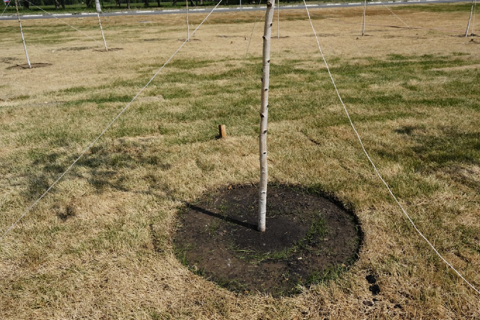 Пущино, благоустройство