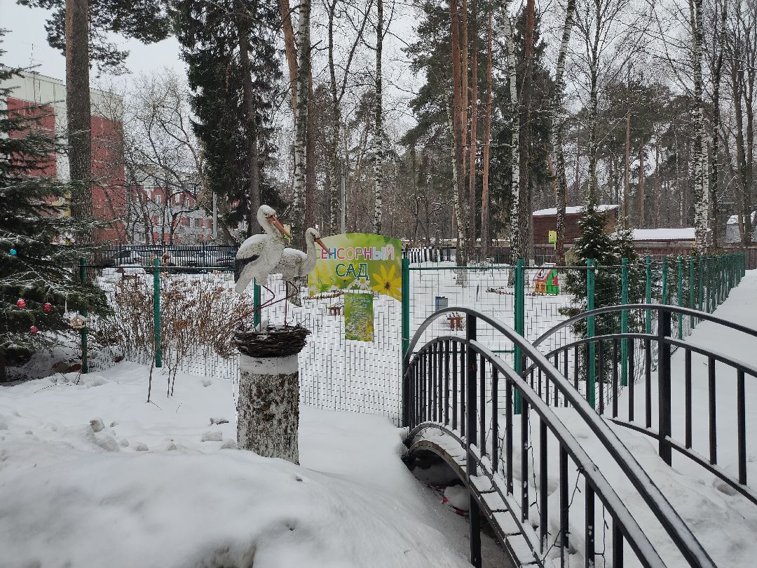 Раменское, образование