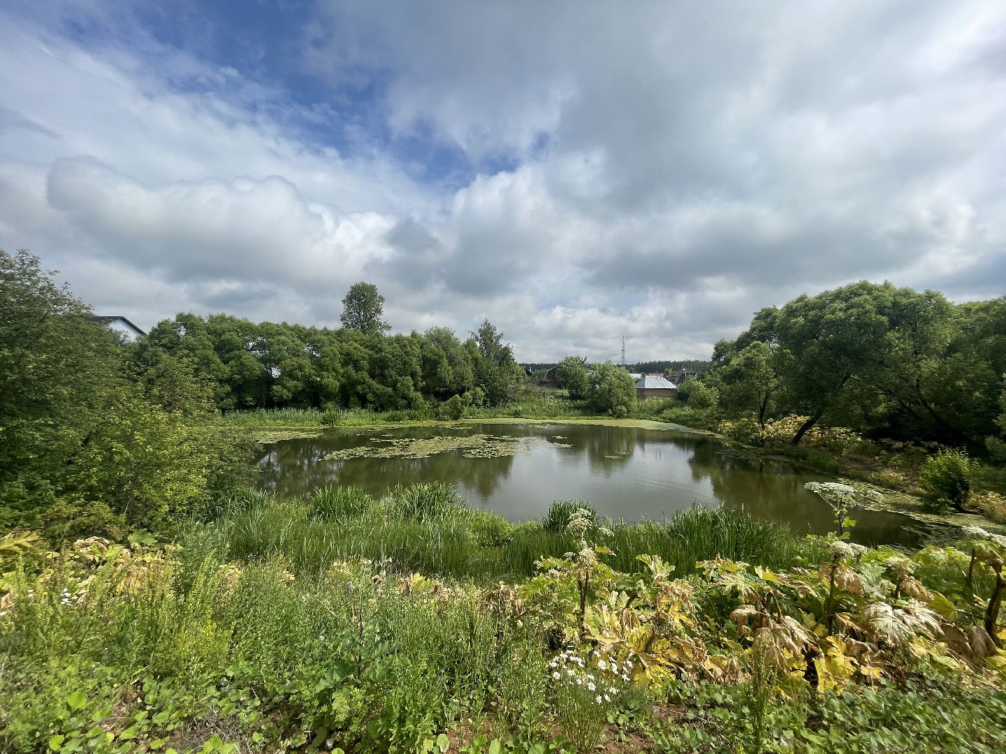 Зайцево, 100 прудов и озёр, экология, министерство, губернатор, Одинцово,