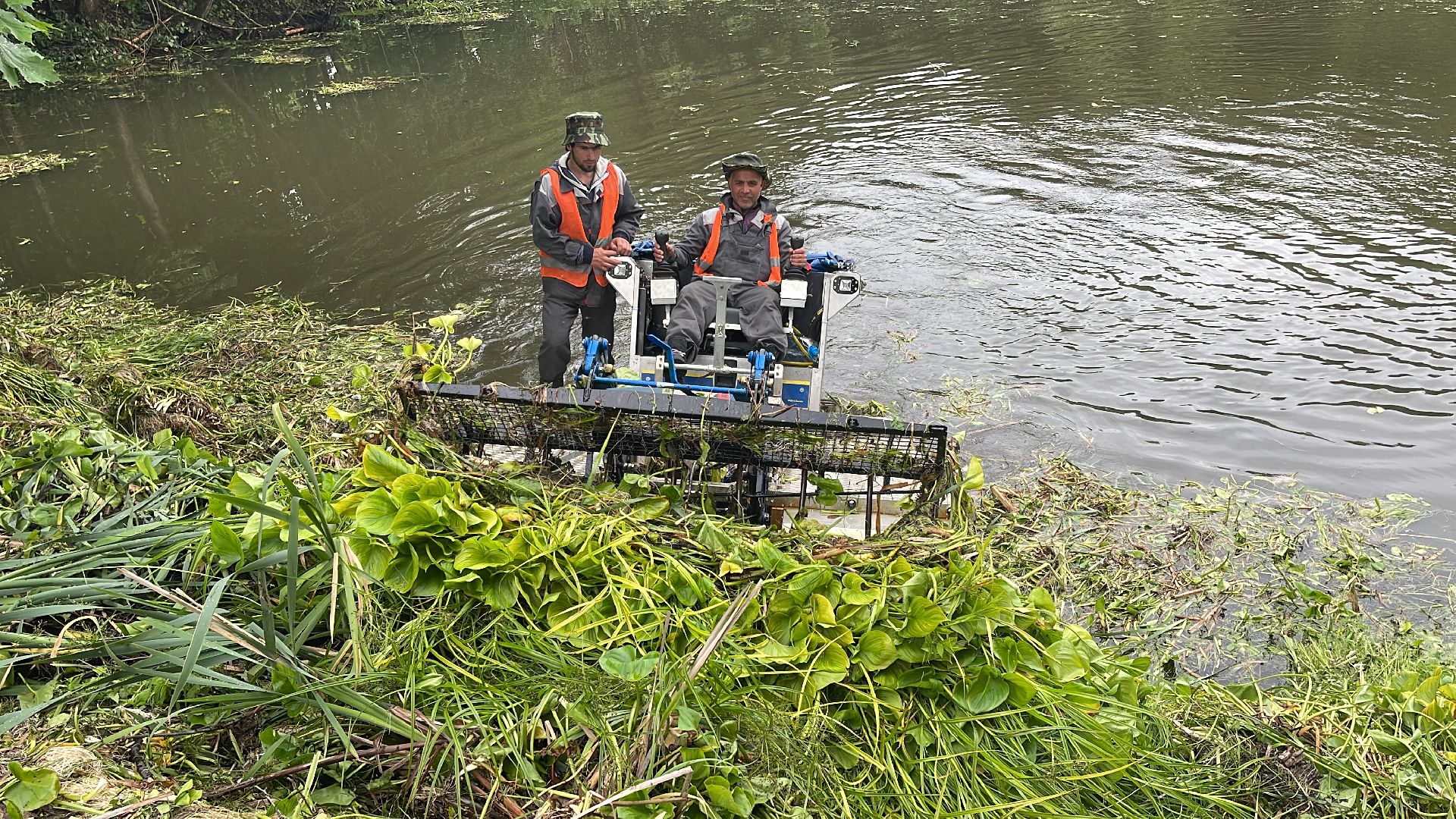 Зайцево, 100 прудов и озёр, экология, министерство, губернатор, Одинцово,