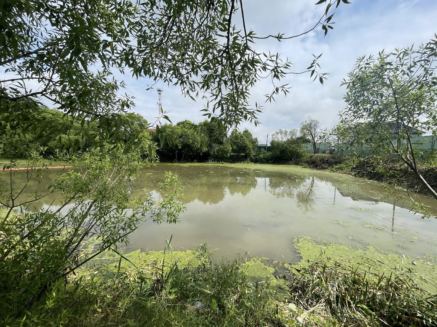 Зайцево, 100 прудов и озёр, экология, министерство, губернатор, Одинцово,
