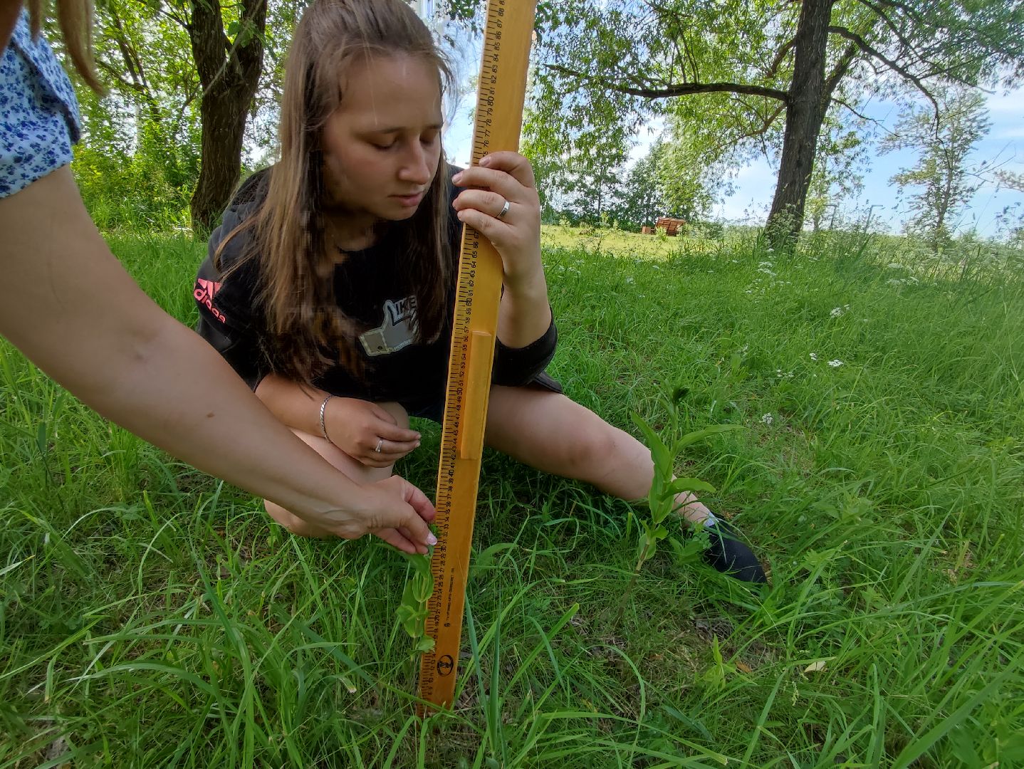 #природавпарке, #солнечныйберег, #орхидеи, #редкиевиды, #дремлек