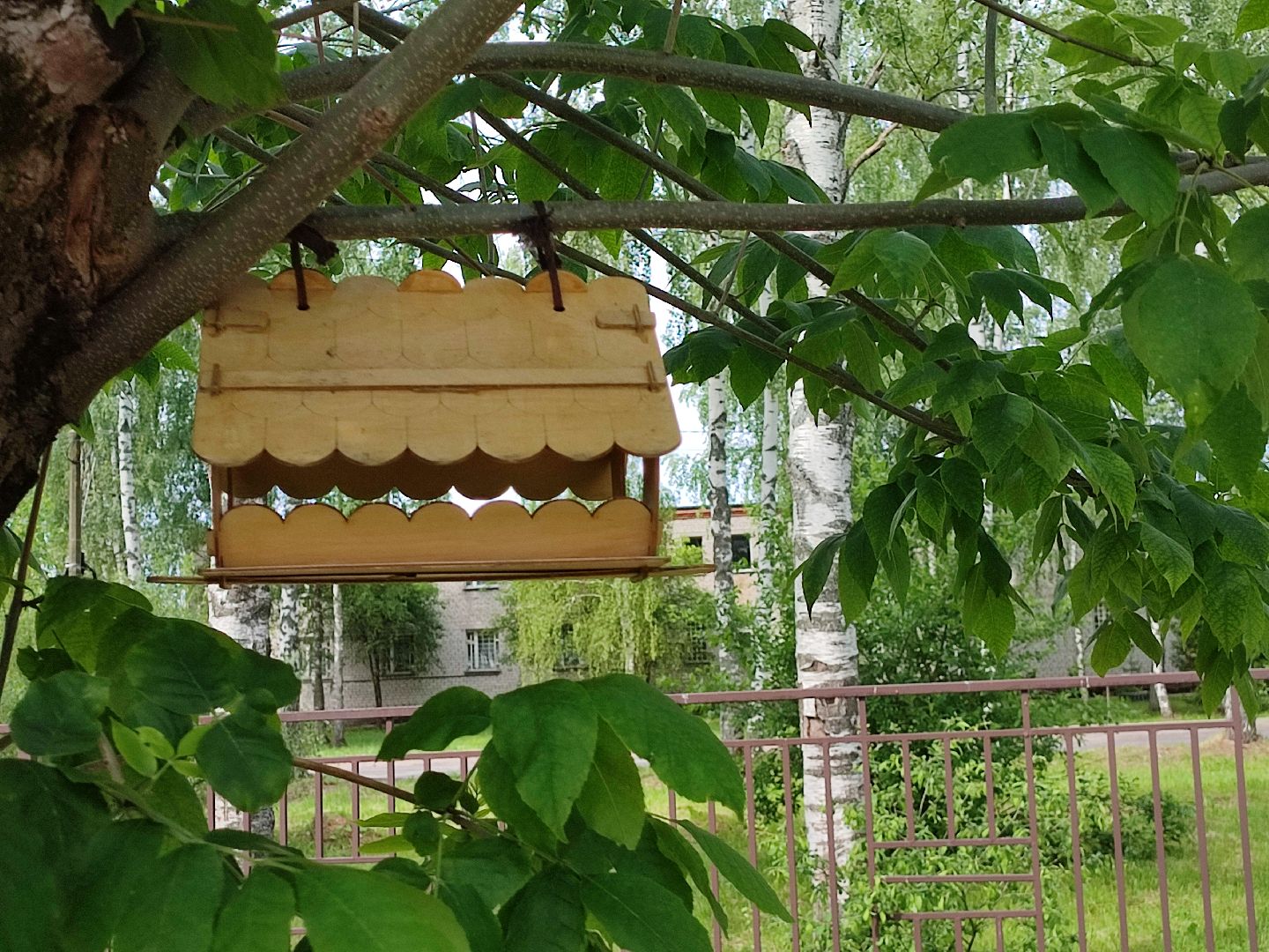 #экопарк, #солнечныйберег, #скворечники, #домдляптиц, #заботаоптицах