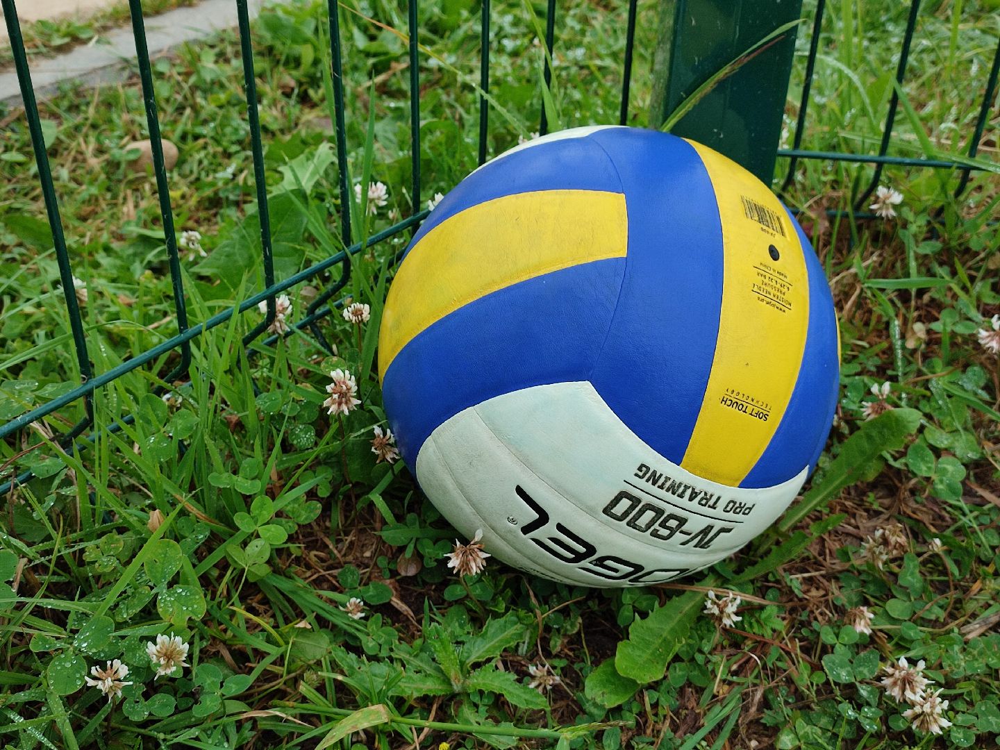 #спорт, #волейбол, #турнирповолейболу, #солнечныйберег,#деньмолодежи