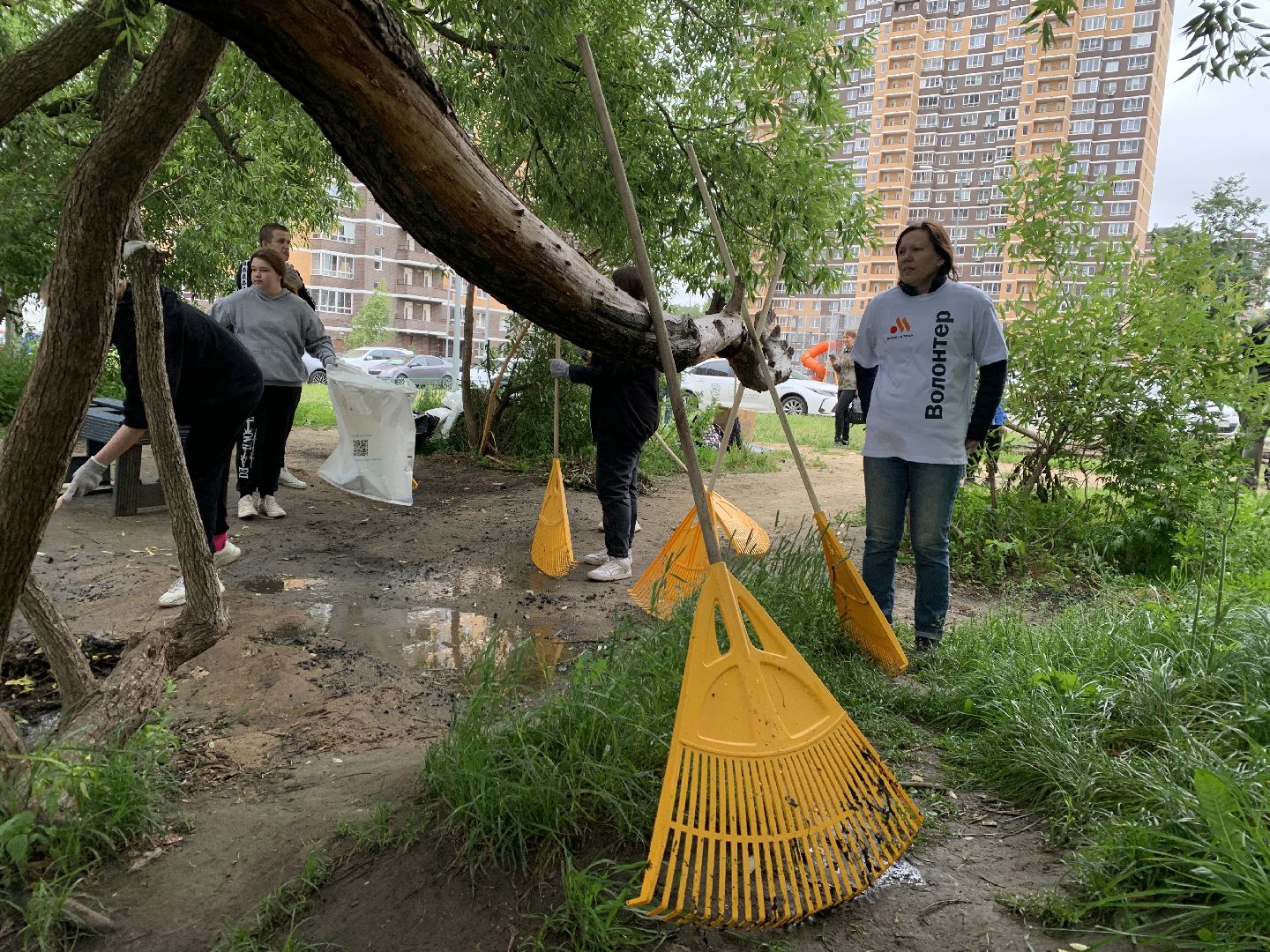 Балашиха, Подмосковье, экология, акции, Вода России