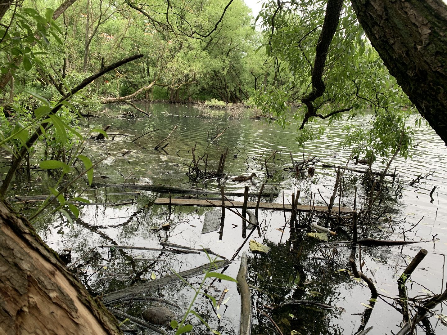 Балашиха, Подмосковье, экология, акции, Вода России