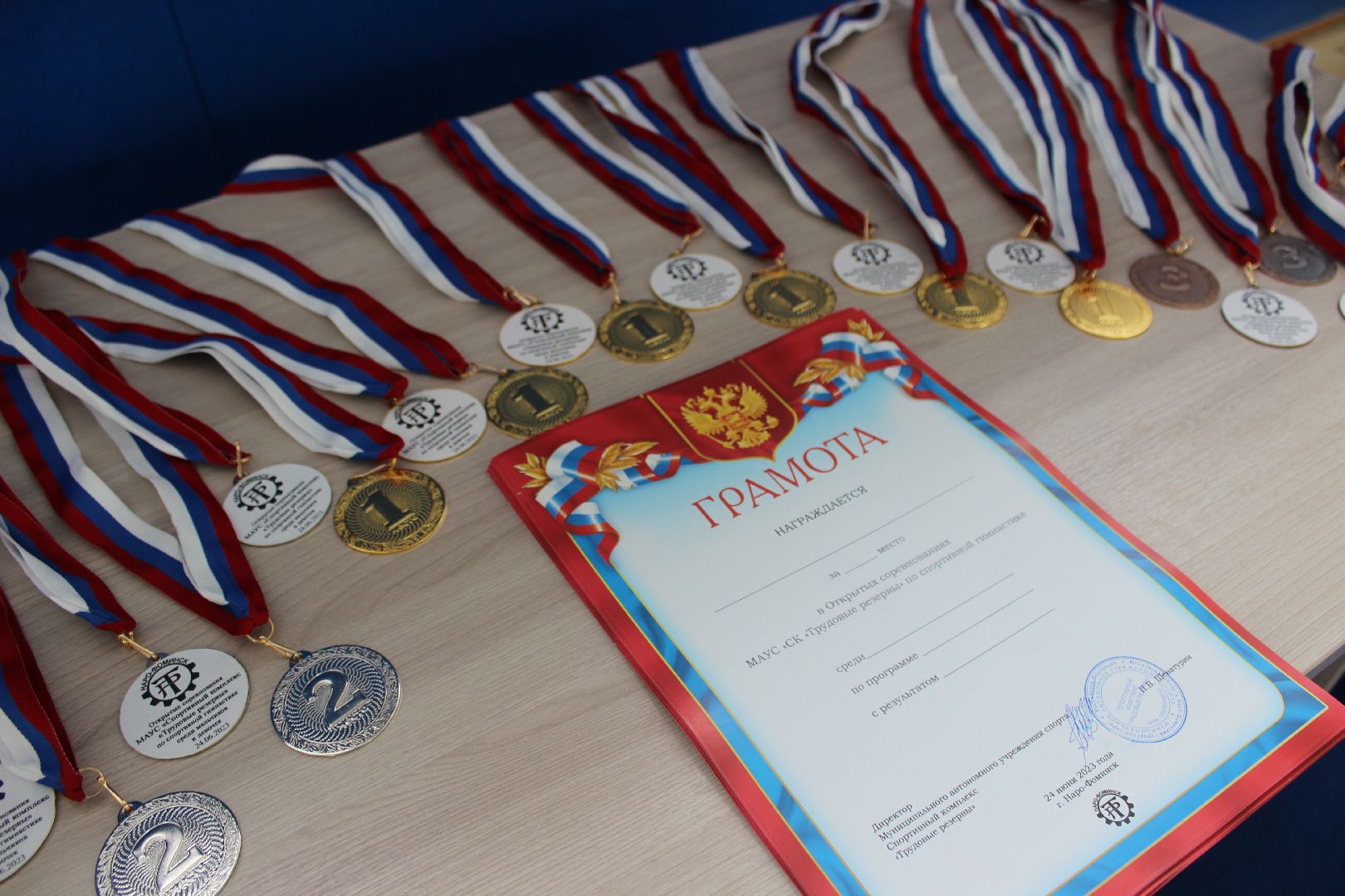 Наро-Фоминск, спортивная гимнастика