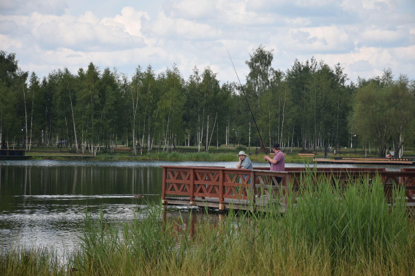 Электрогорск, городской округ Павловский Посад, благоустройство, строительство, отдых, озеро, набережная, люди