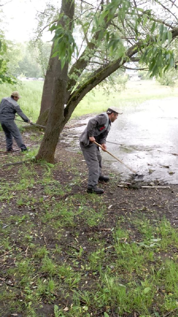 экология, благоустройство, чистка прудов, Котельники