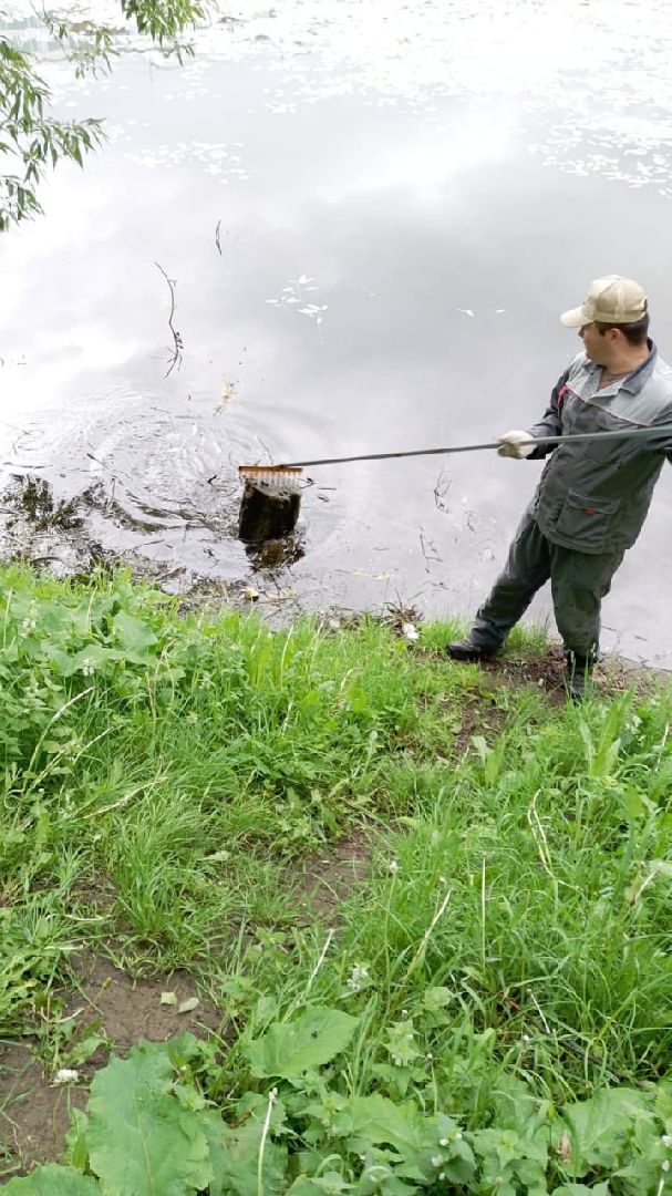 экология, благоустройство, чистка прудов, Котельники