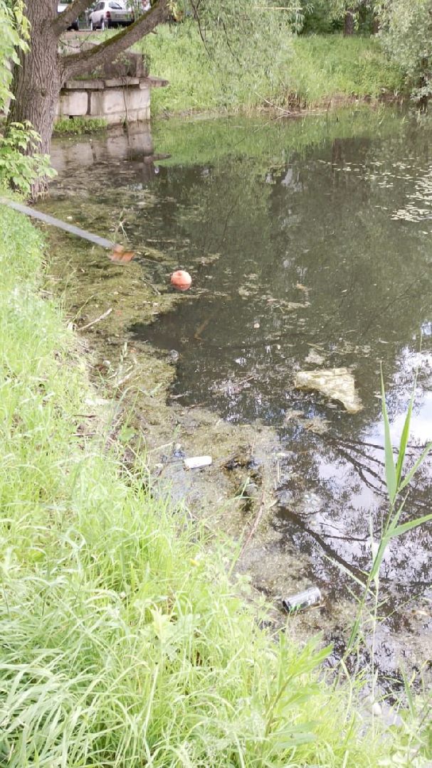 экология, благоустройство, чистка прудов, Котельники