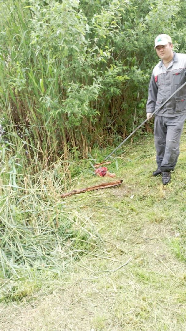 экология, благоустройство, чистка прудов, Котельники