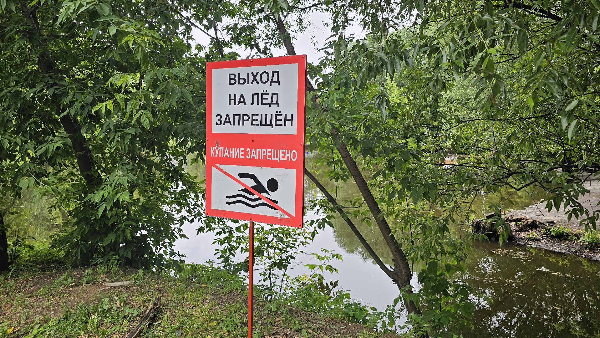 экология, благоустройство, чистка прудов, Котельники