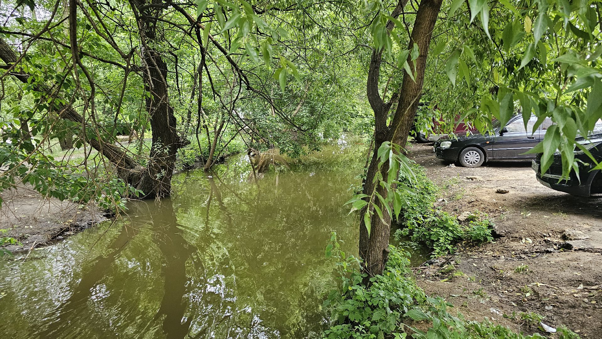 экология, благоустройство, чистка прудов, Котельники