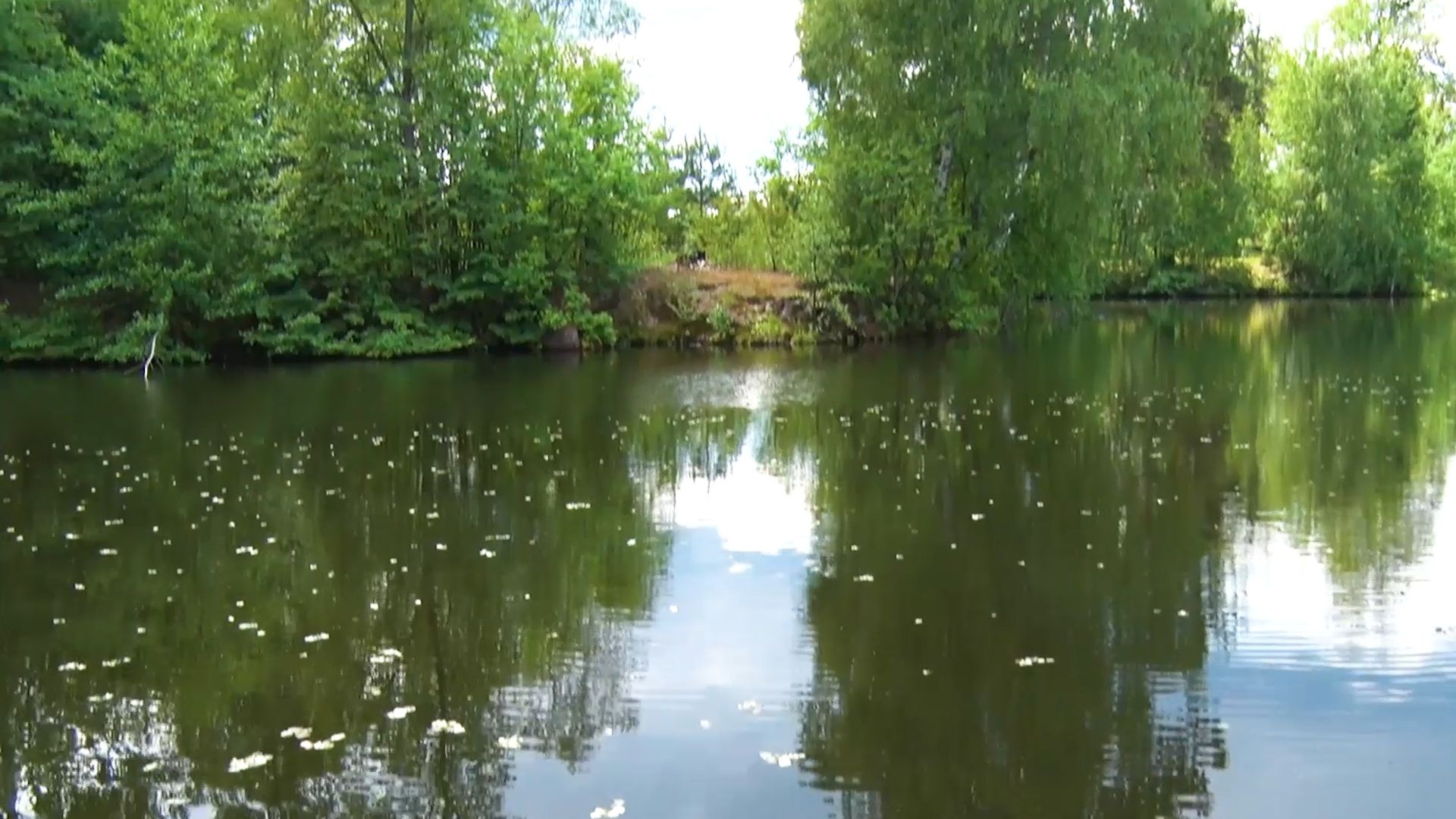 благоустройство, расчистка озера, пруд, история, Лопухины, Орехово-Зуево