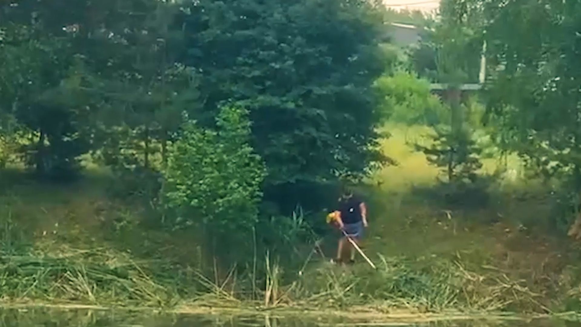 благоустройство, расчистка озера, пруд, история, Лопухины, Орехово-Зуево