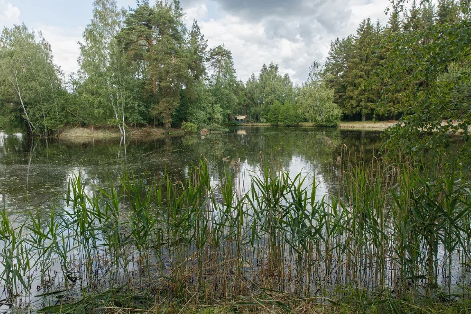 благоустройство, расчистка озера, пруд, история, Лопухины, Орехово-Зуево