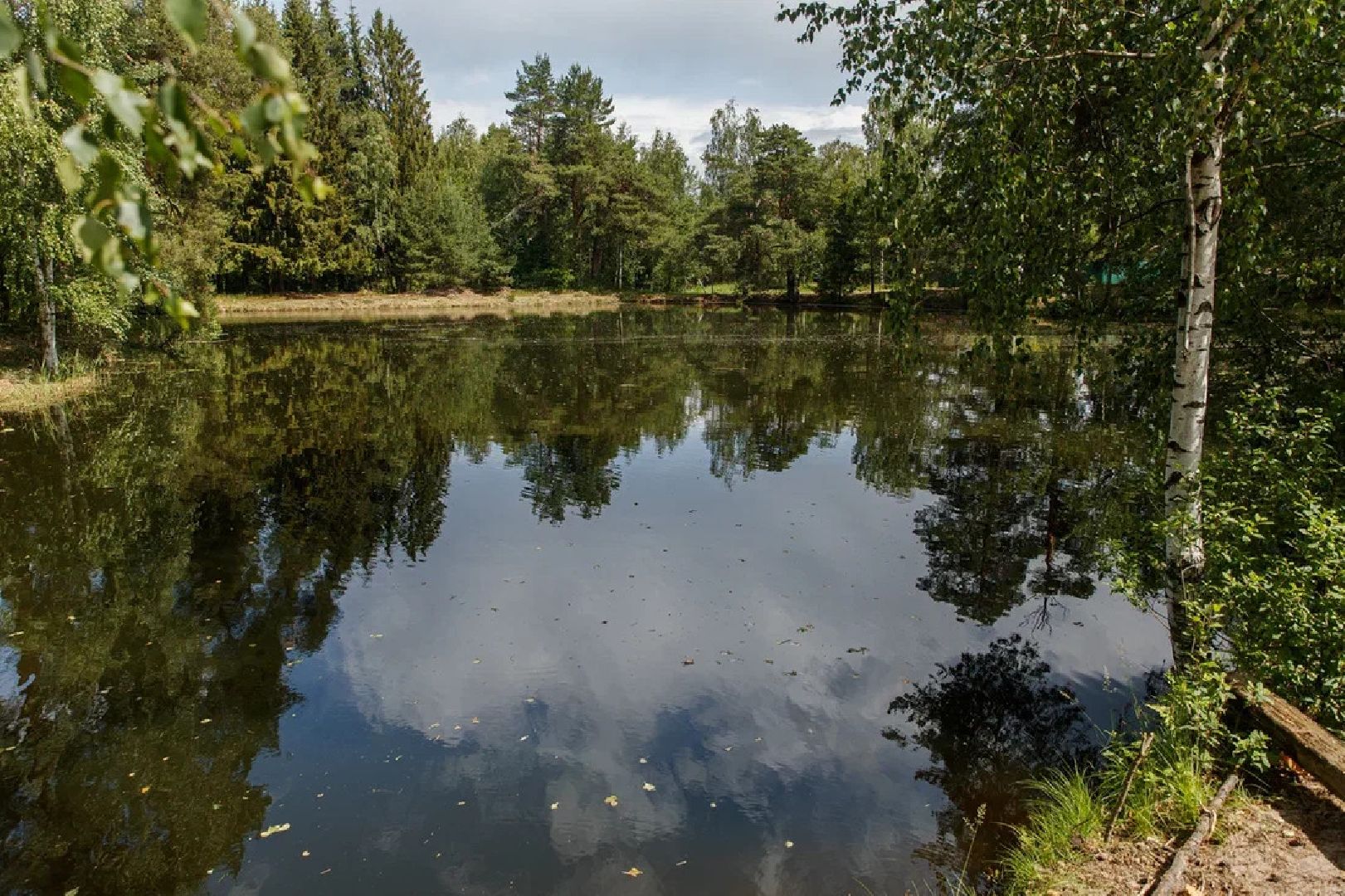 благоустройство, расчистка озера, пруд, история, Лопухины, Орехово-Зуево