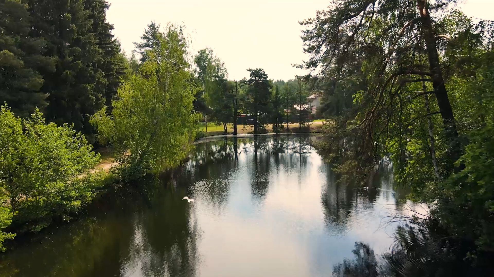 благоустройство, расчистка озера, пруд, история, Лопухины, Орехово-Зуево