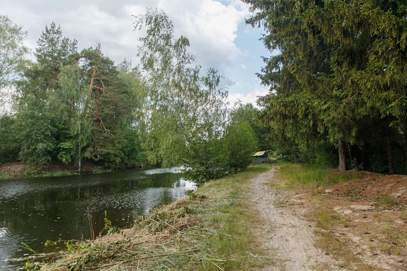 благоустройство, расчистка озера, пруд, история, Лопухины, Орехово-Зуево