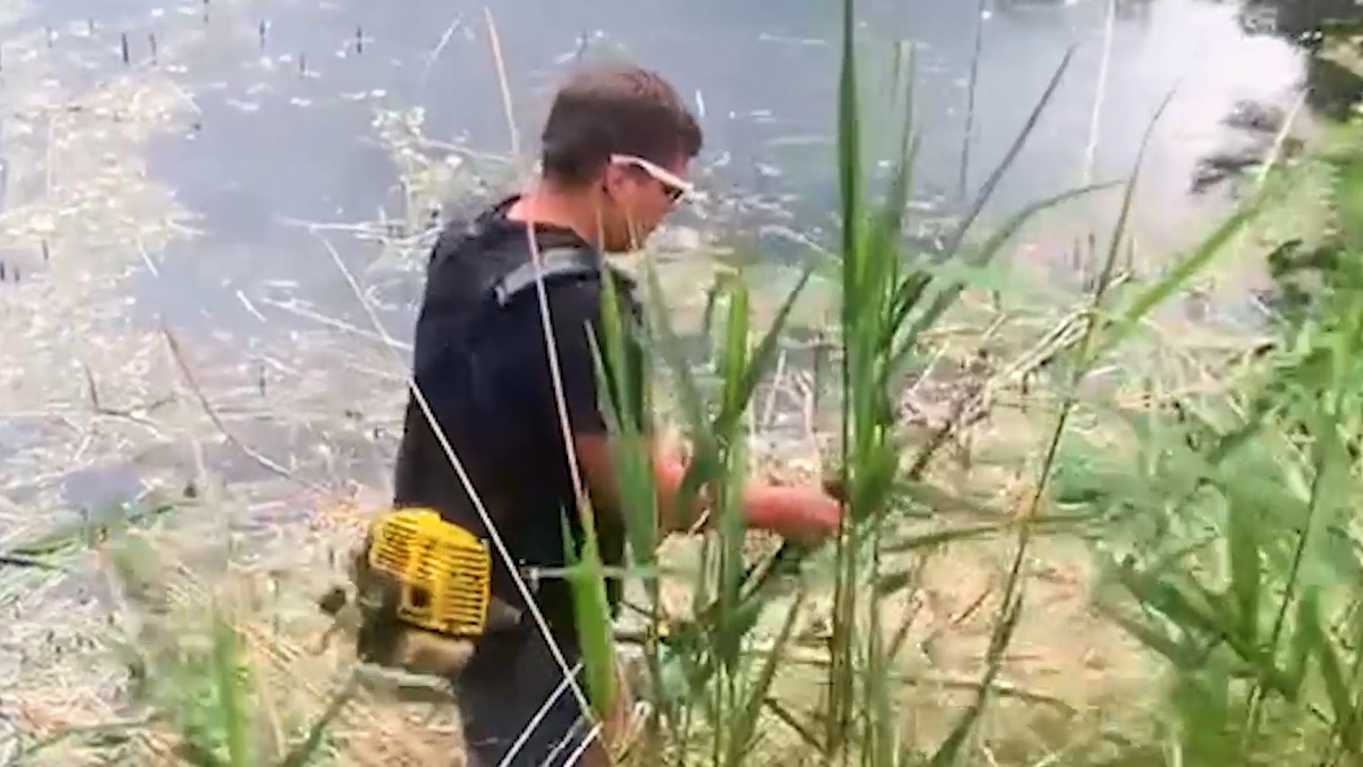 благоустройство, расчистка озера, пруд, история, Лопухины, Орехово-Зуево