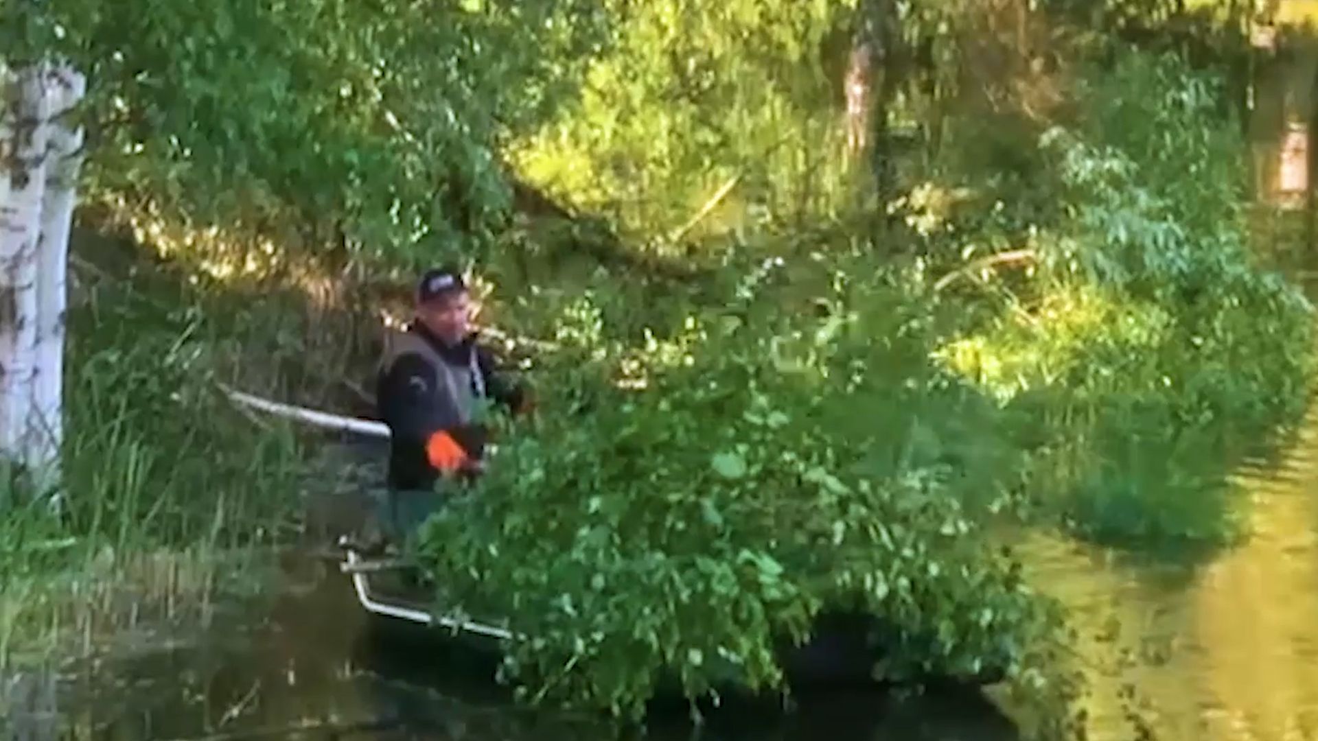 благоустройство, расчистка озера, пруд, история, Лопухины, Орехово-Зуево