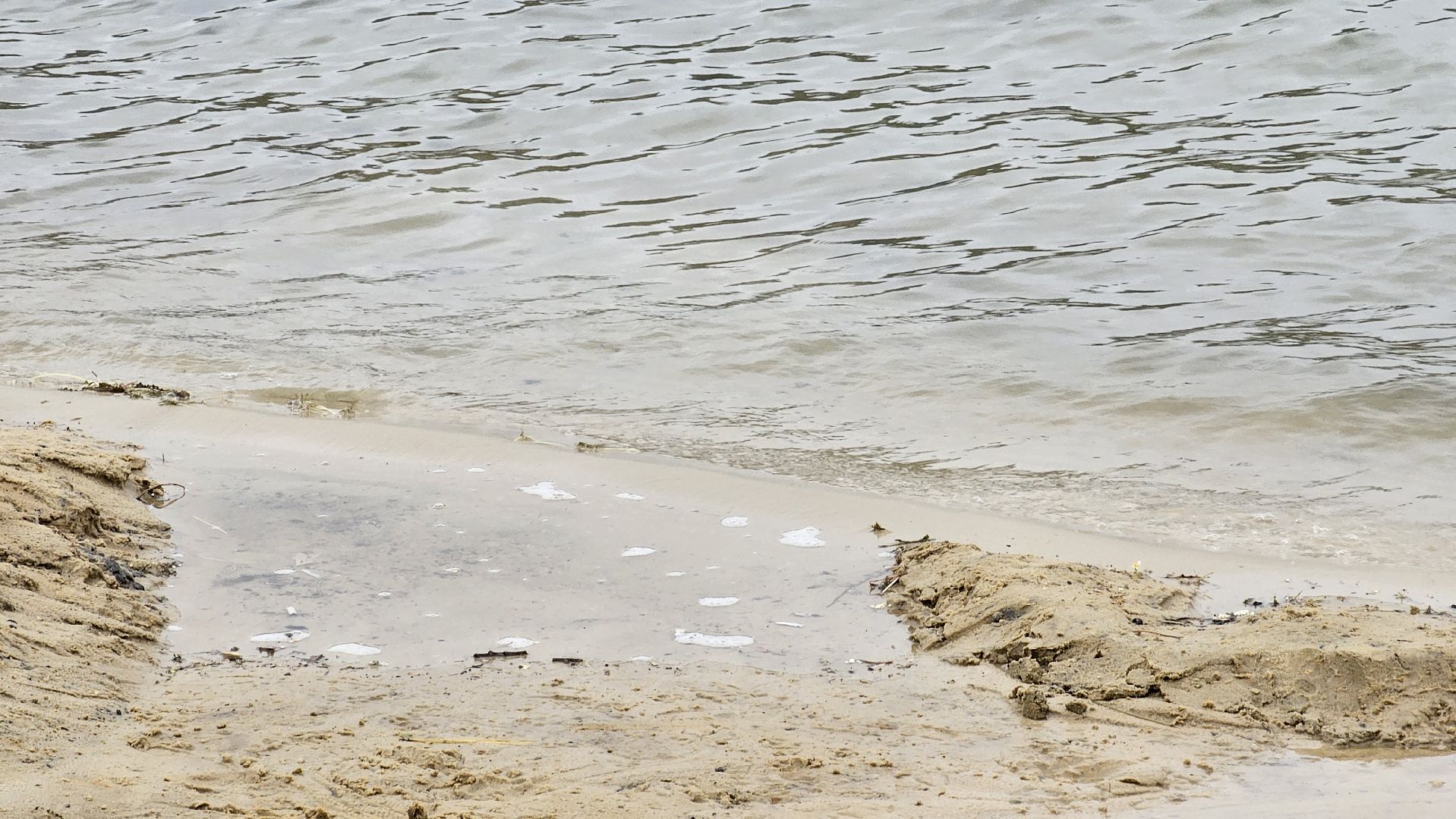 экология, санитарное состояние, пляжи, охрана здоровья, Котельники