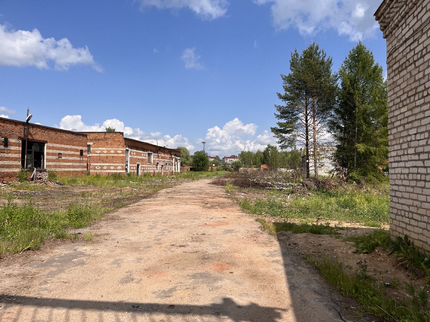 Шаховская, ферма, молоко, коровы, завод