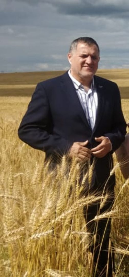 Шаховская, ферма, молоко, коровы, завод